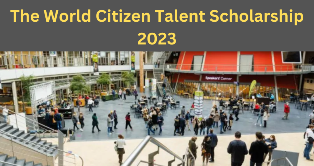World Citizen Talent Scholarship